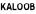 shapeimage_17_link_0